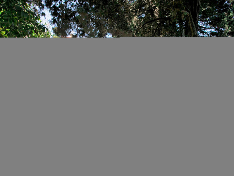 Casa Sulla Scogliera