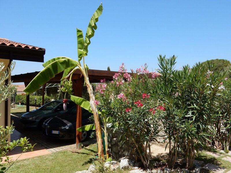 Zweizimmerwohnungen direkt am Meer