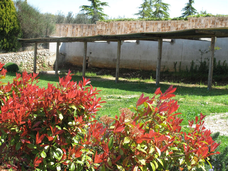 Neue fantastische Casa degli Ulivi privaten Pool