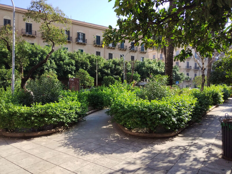 MaXelA Penthouse Green