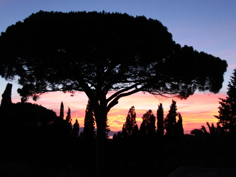 'Haus am Zitronenhain'