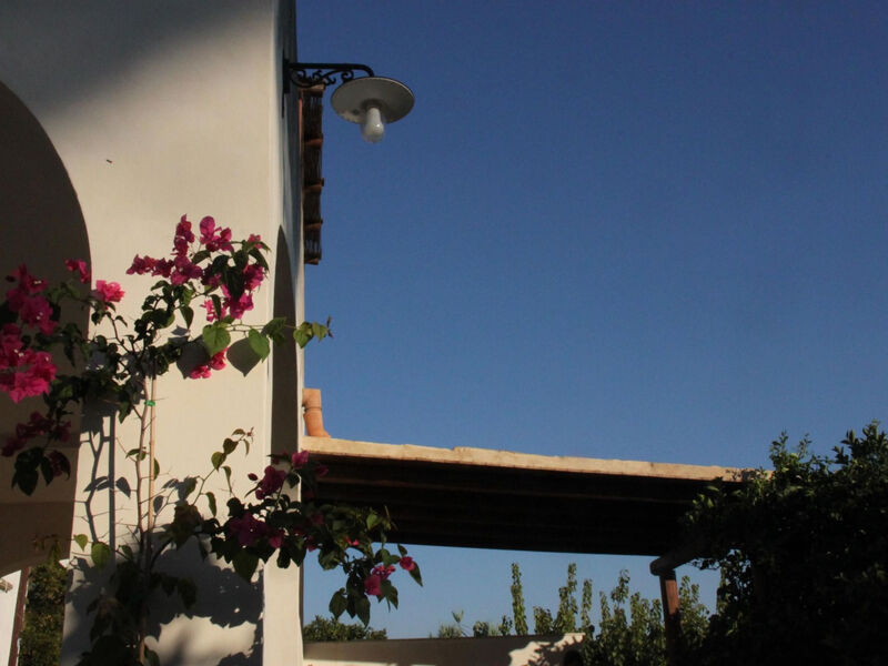 'Haus am Zitronenhain'