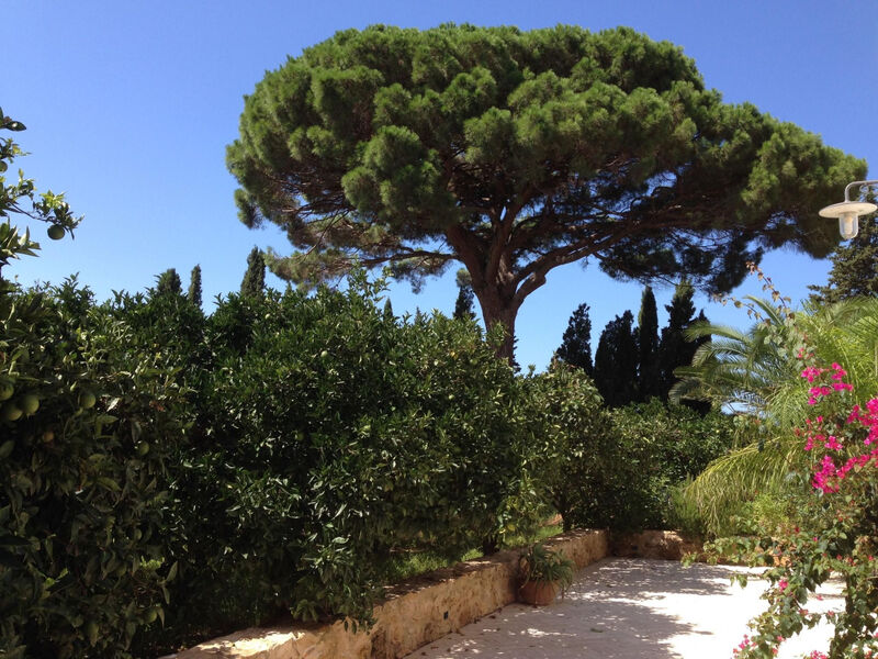 'Haus am Zitronenhain'