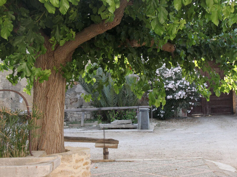 'Haus am Zitronenhain'