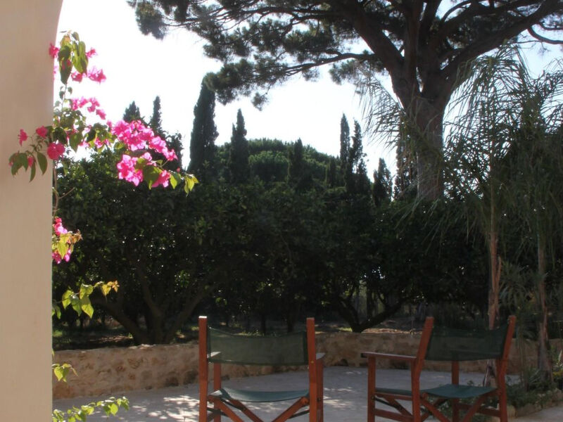 'Haus am Zitronenhain'