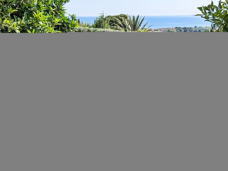 Bouganville Di Patrizia