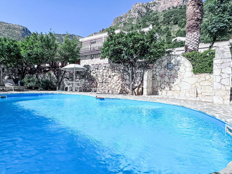 Bouganville Di Patrizia