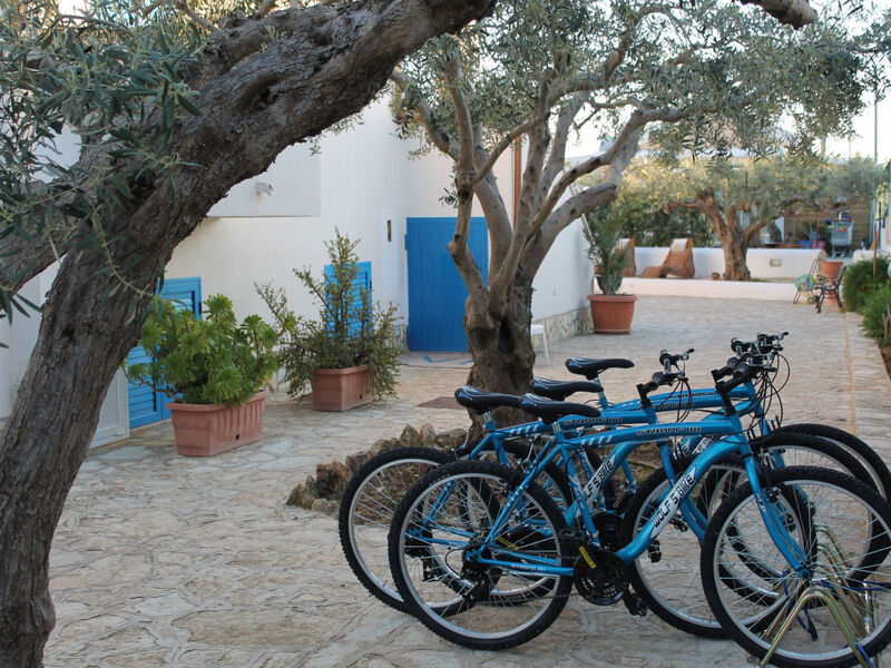 Signorino Resort Studio 4 pax