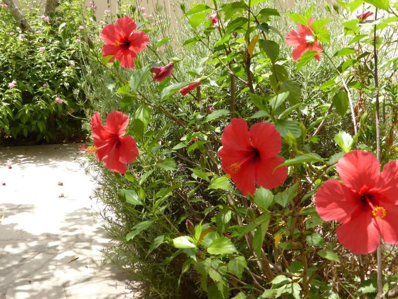 Schöner zentraler Bungalow direkt am Sandstrand auf Sizilien