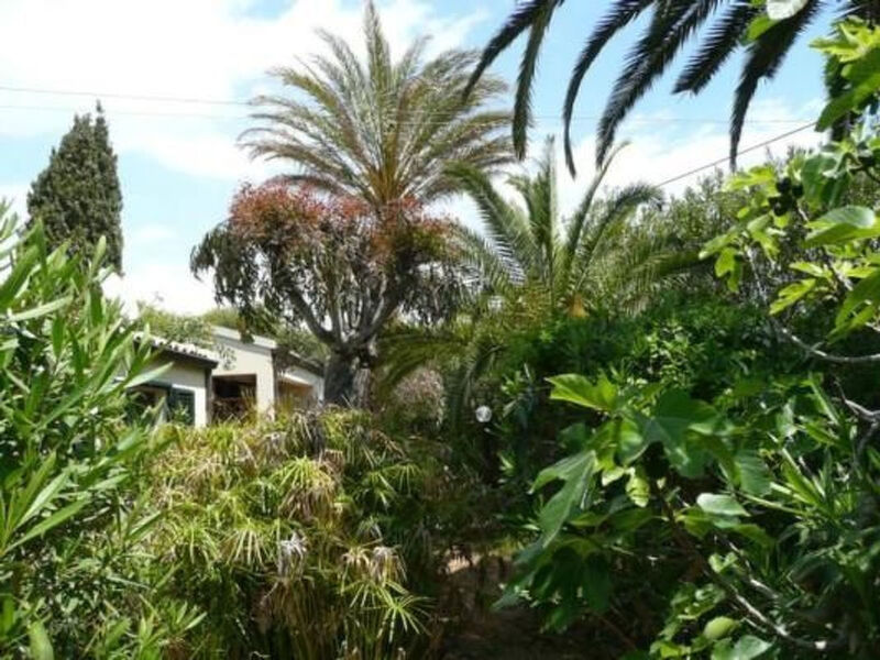 Schöner zentraler Bungalow direkt am Sandstrand auf Sizilien