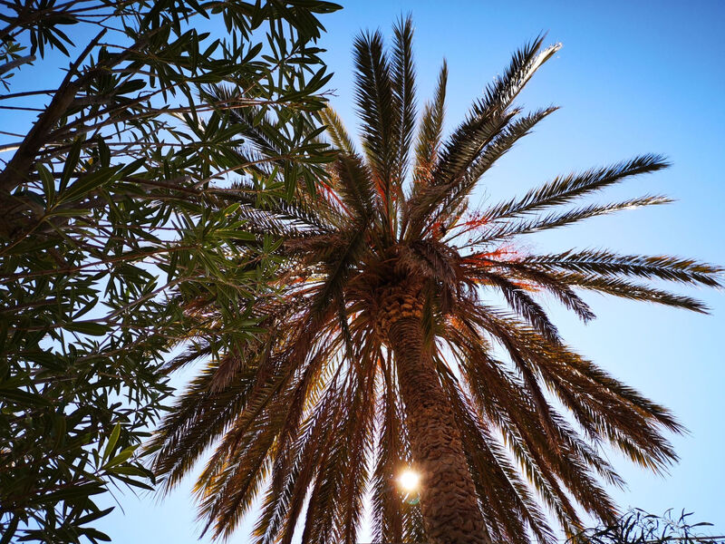 Schöner zentraler Bungalow direkt am Sandstrand auf Sizilien