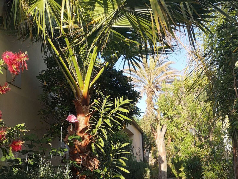 Schöner zentraler Bungalow direkt am Sandstrand auf Sizilien