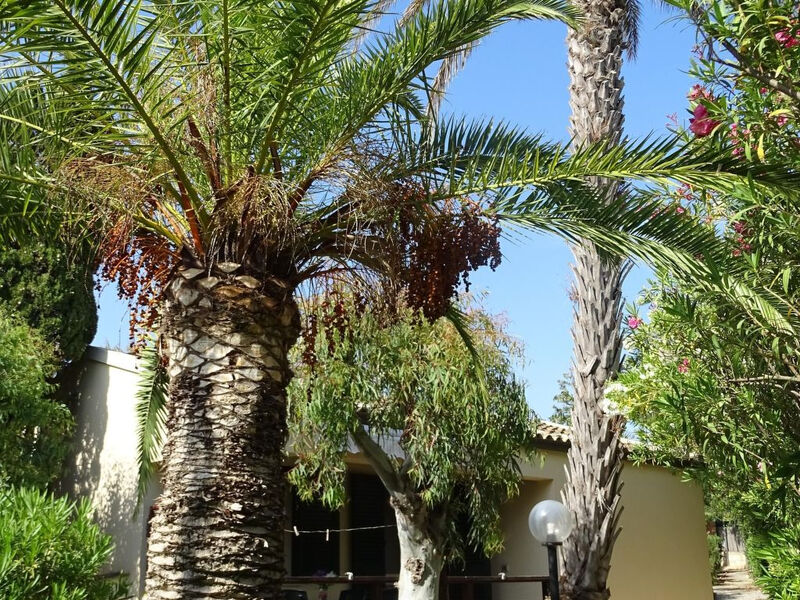 Schöner zentraler Bungalow direkt am Sandstrand auf Sizilien