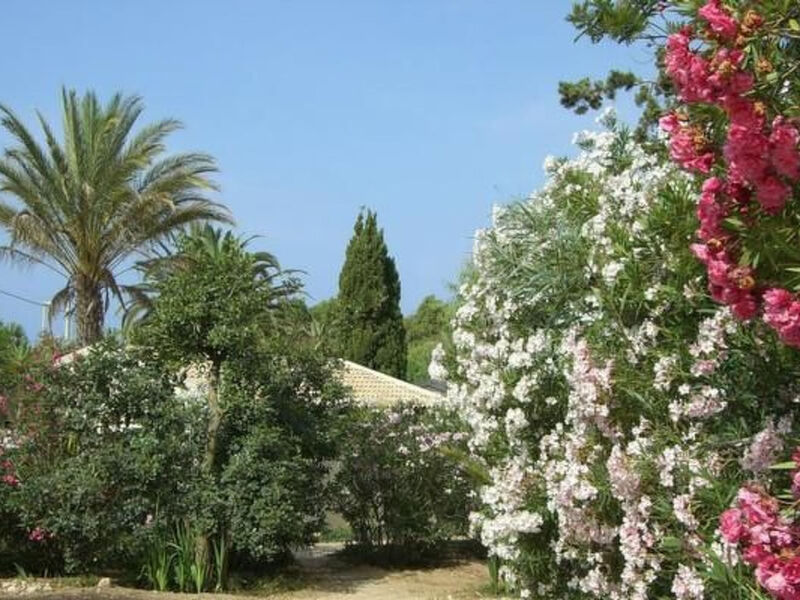 Schöner zentraler Bungalow direkt am Sandstrand auf Sizilien