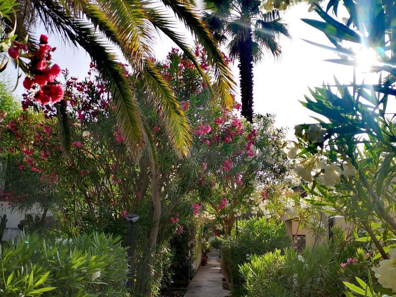 Schöner zentraler Bungalow direkt am Sandstrand auf Sizilien