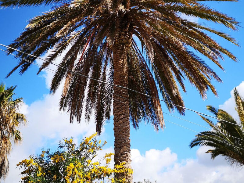Schöner zentraler Bungalow direkt am Sandstrand auf Sizilien