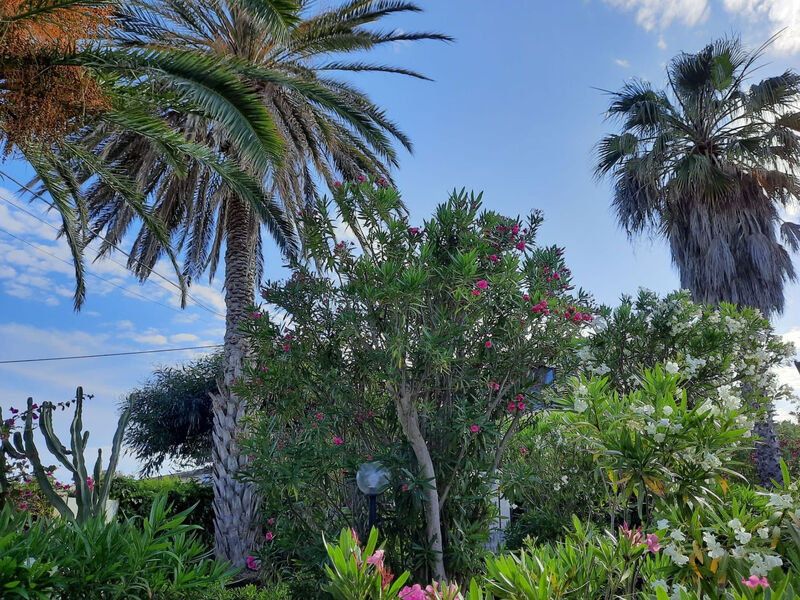 Schöner Bungalow direkt am Sandstrand auf Sizilien