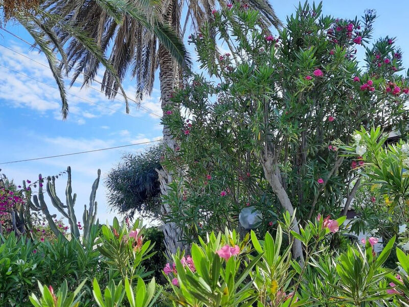 Schöner, neuer und zentraler Bungalow direkt am Sandstrand auf Sizilien