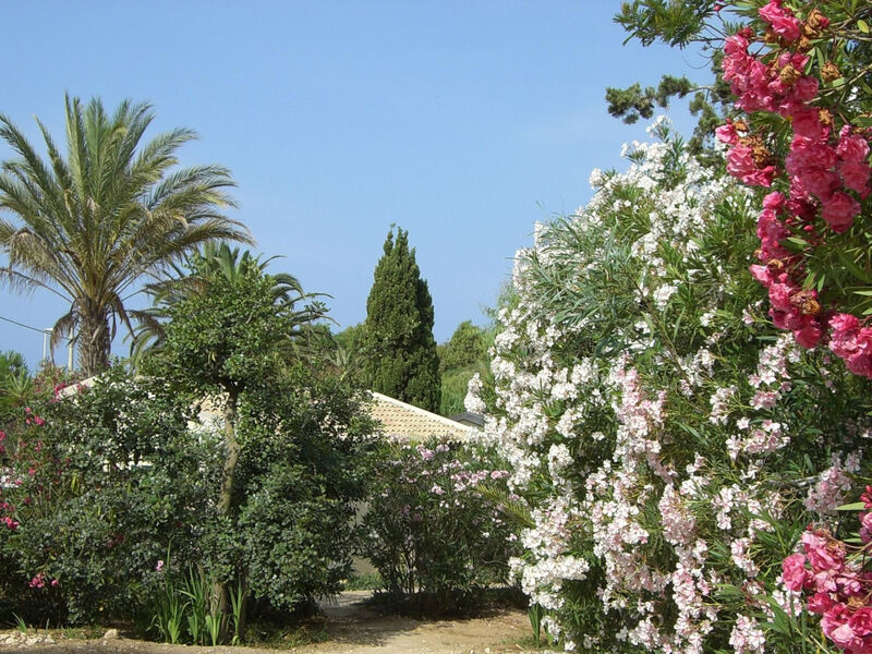 Schöner, neuer und zentraler Bungalow direkt am Sandstrand auf Sizilien