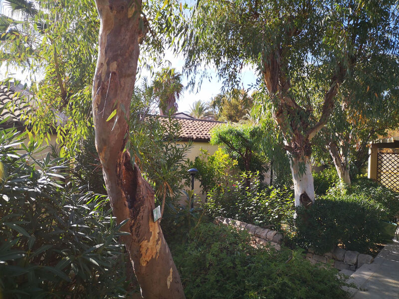 Schöner, neuer und zentraler Bungalow direkt am Sandstrand auf Sizilien