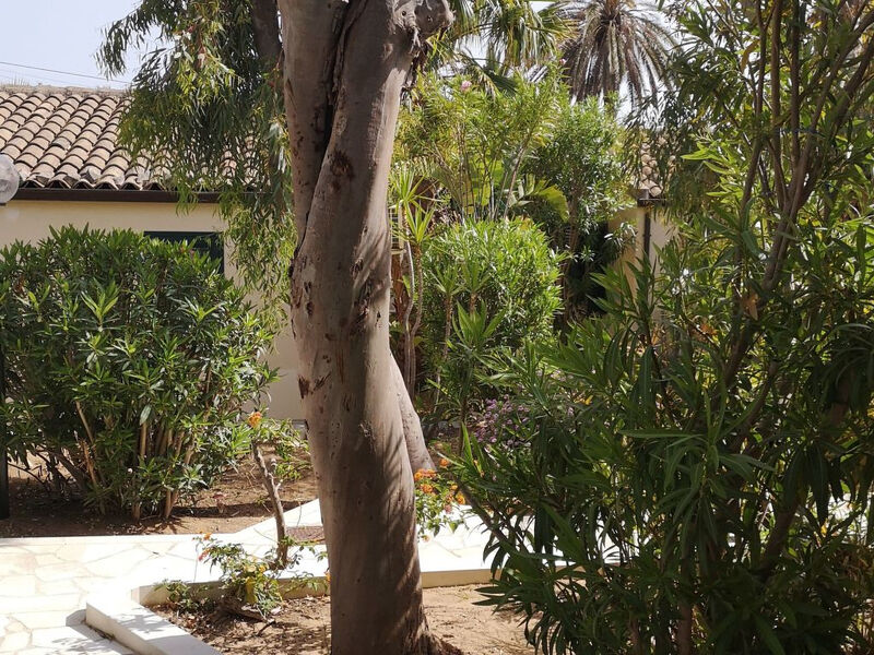 Schöner, neuer und zentraler Bungalow direkt am Sandstrand auf Sizilien