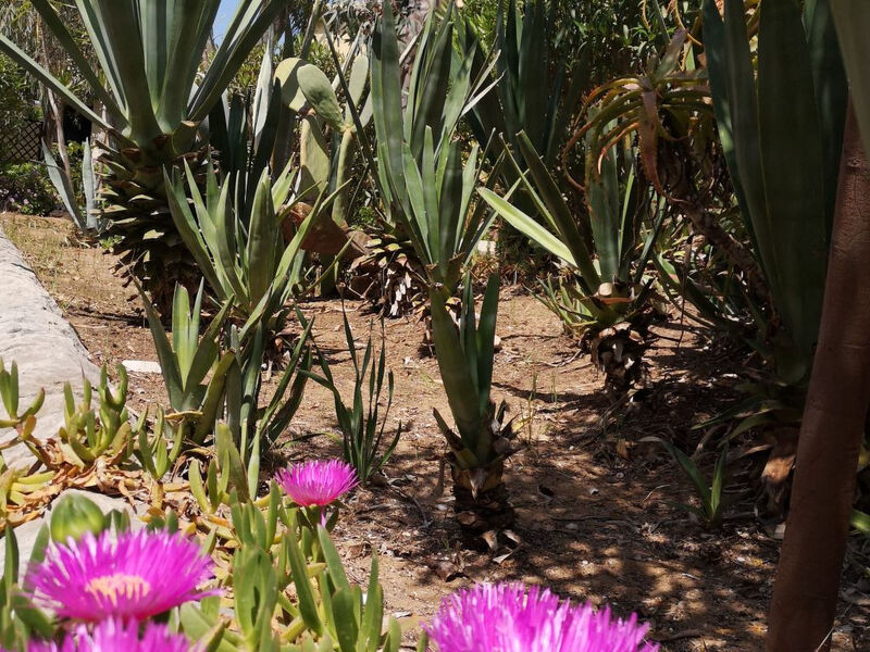 Schöner zentraler Bungalow direkt am Sandstrand auf Sizilien