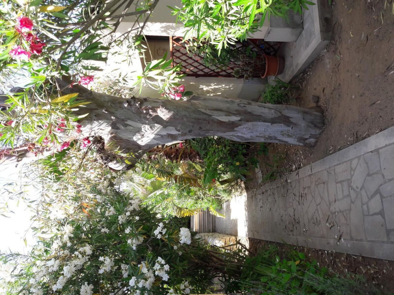 Schöner zentraler Bungalow direkt am Sandstrand auf Sizilien