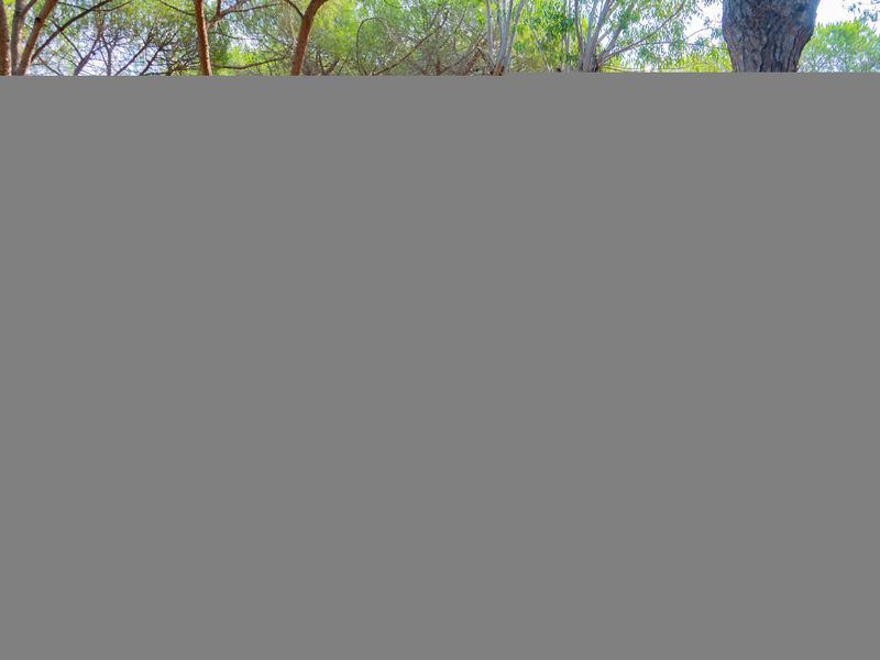 Camping Baia Blu - La Tortuga