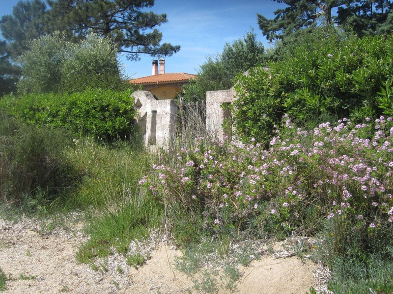 Charmante Wohnung Lungomare Cannigione