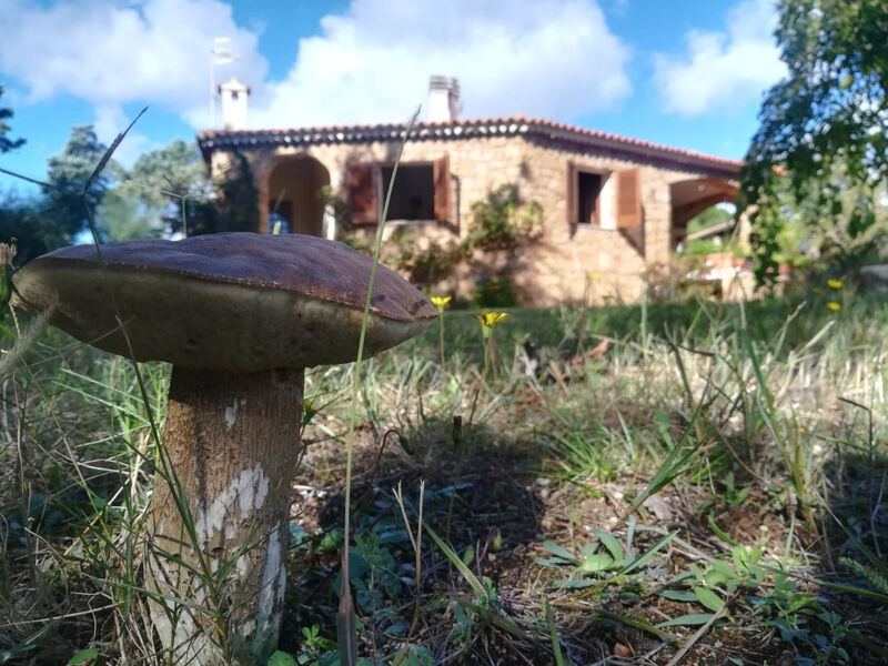 Charmante Wohnung Lungomare Cannigione