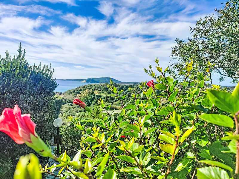 Casetta nel blu