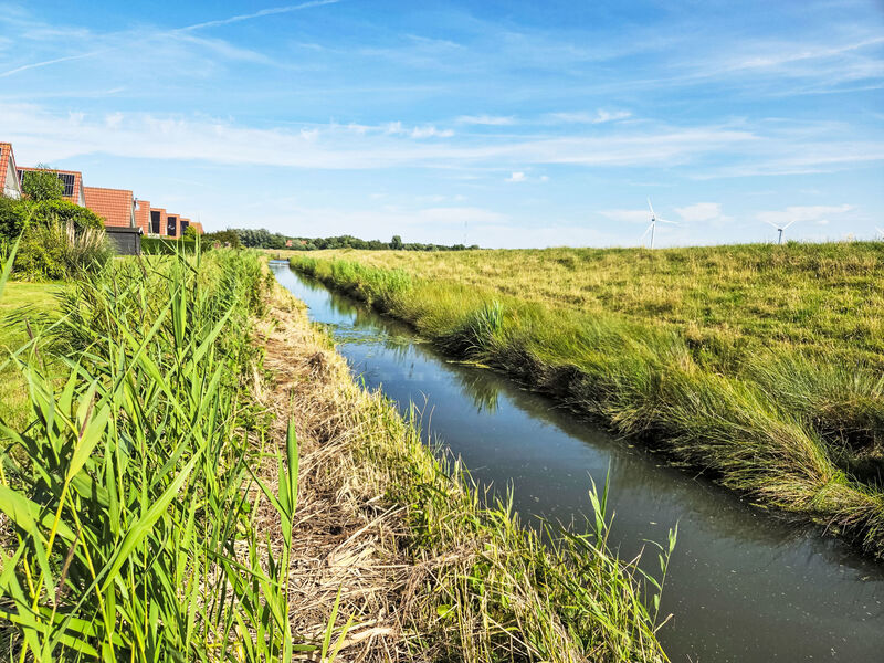 De Wieringerheid 164