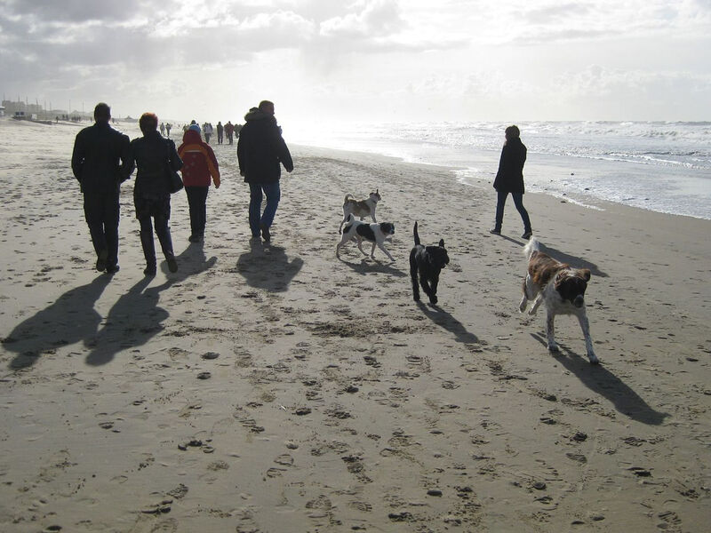 Jazz, Noordwijk aan Zee