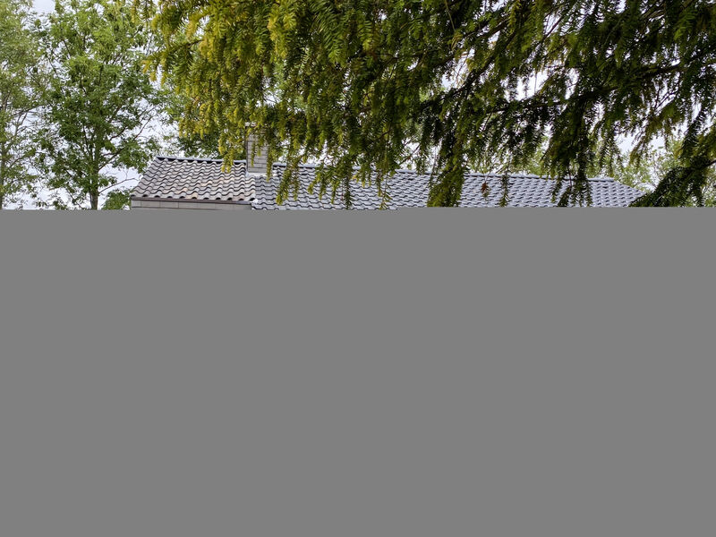 Den Osse-Meeuwenstein