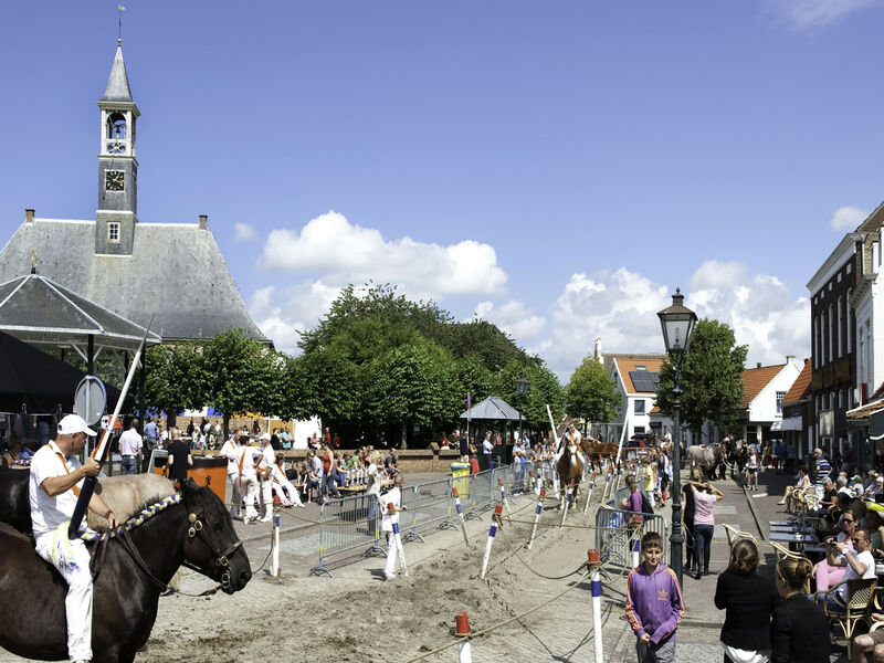 Charming house Koudekerke