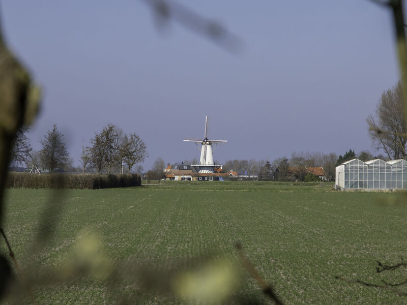 Charming house Koudekerke