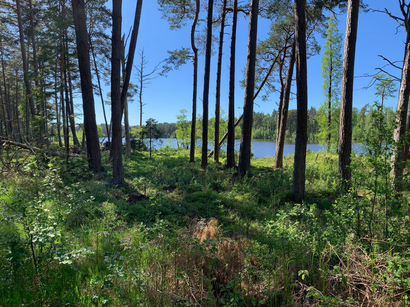 Ferien an der Ostsee