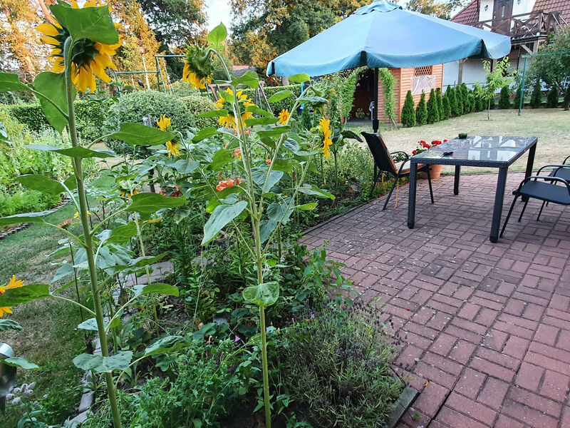 Gartenappartement an der polnischen Ostseeküste