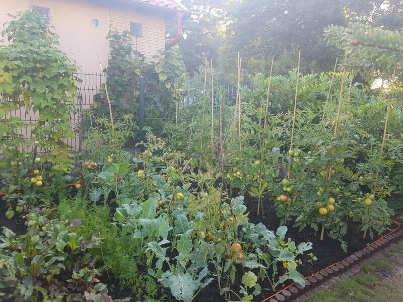 Gartenappartement an der polnischen Ostseeküste