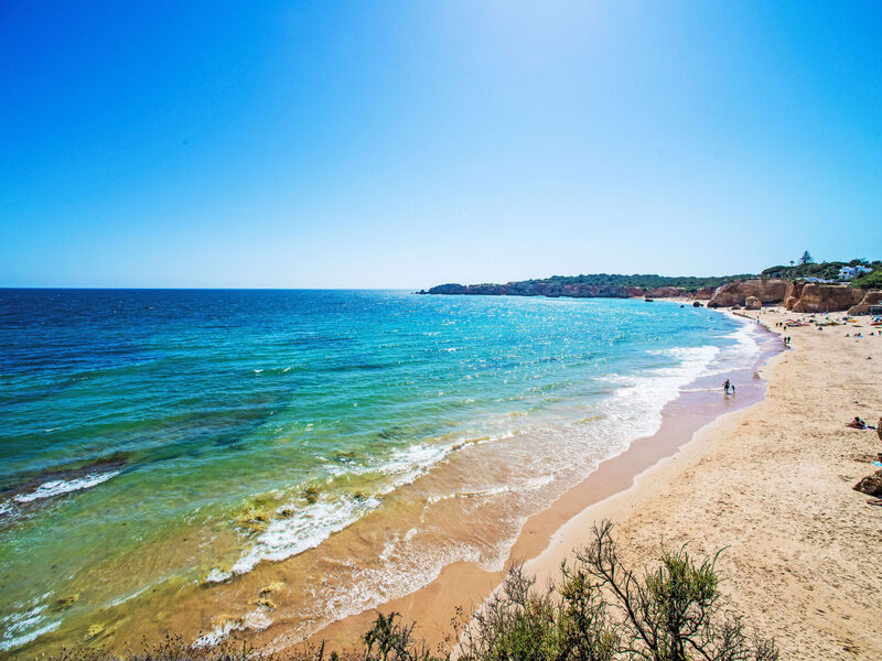 Estrela Do Vau - Private Apt.