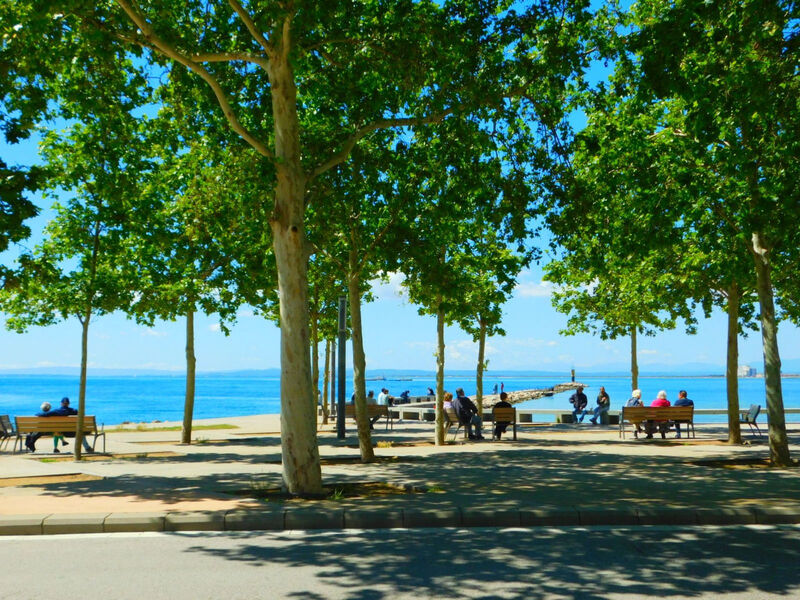 A-241 Saisonale Vermietung Studio Roses