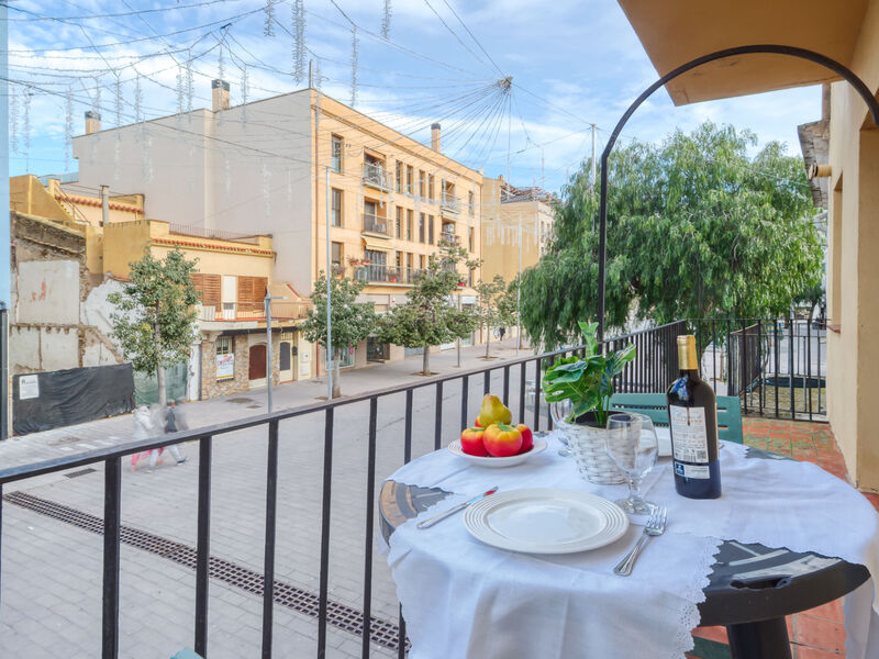 Centro peatonal Roses