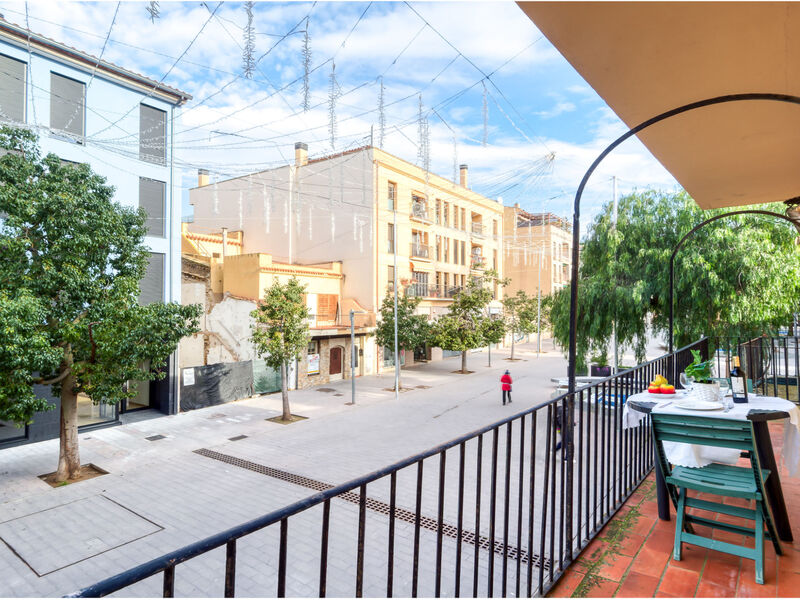 Centro peatonal Roses