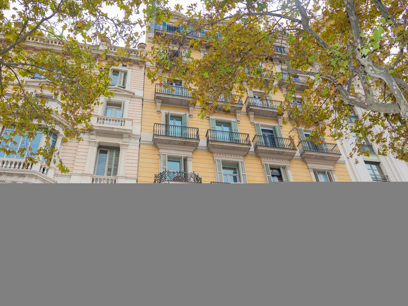 Centro: Passeig De Gracia - Casa Batllo