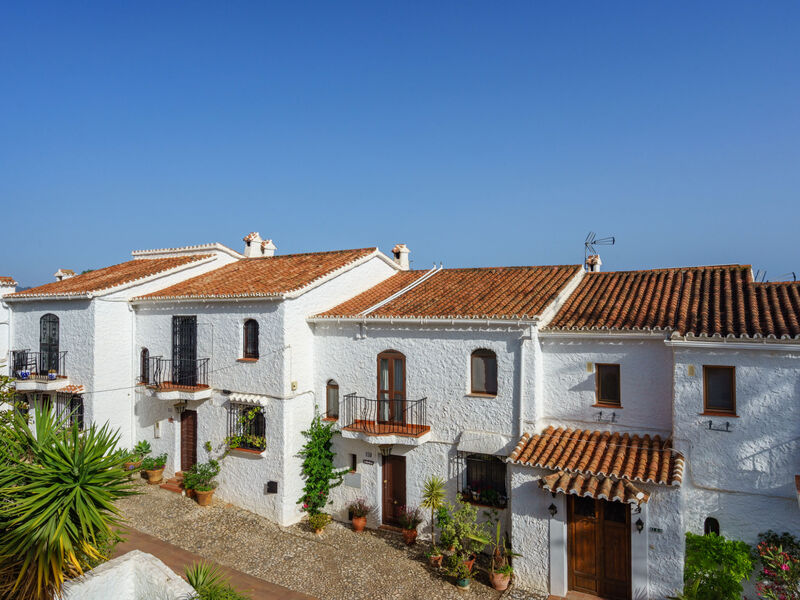 Los Olivos de Capistrano