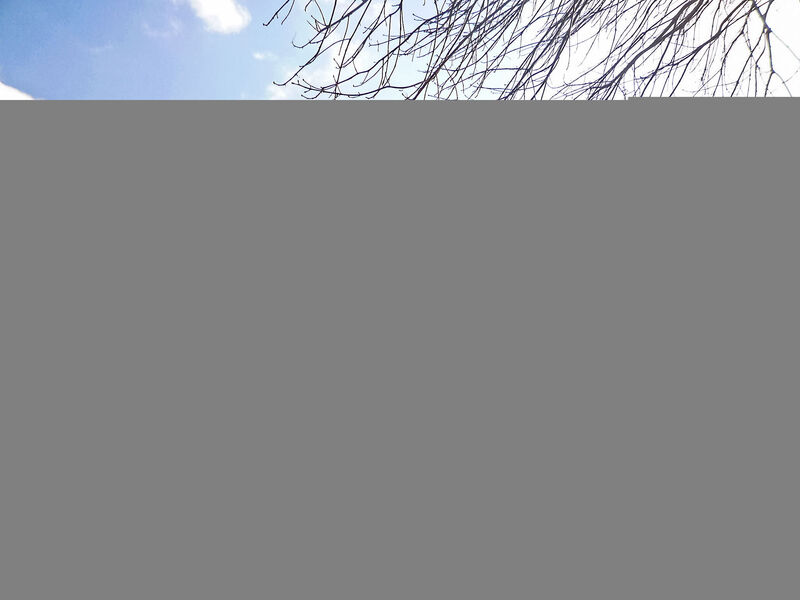 Le Parc De La Jacotte