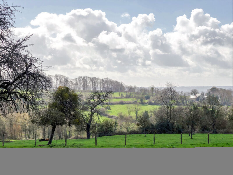 Les Écuries De Callenville