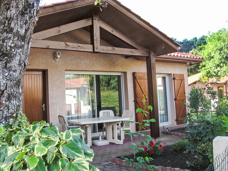 Bosquet Aux Ecureuils