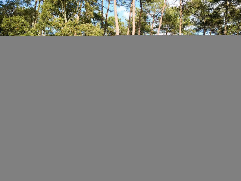 Airial Du Seignanx Key West