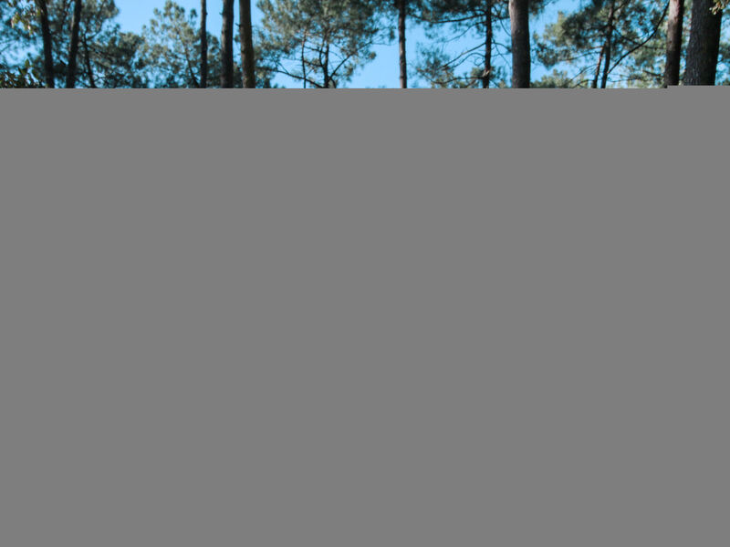 Airial Du Seignanx Key West